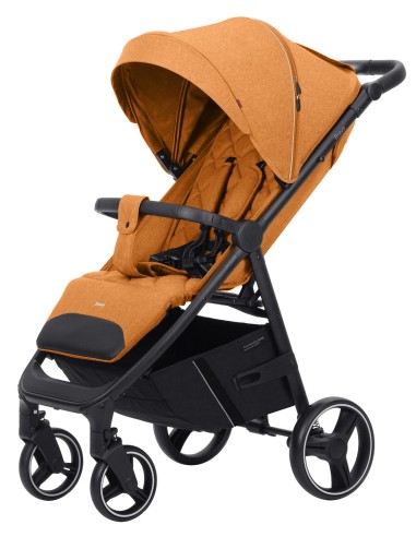 SILLA DE PASEO BRAVO CARRELLO