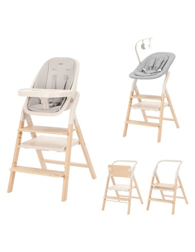 TRONA EVOLUTIVA ERGO CARRELLO